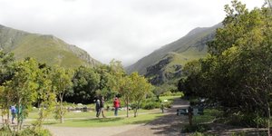 The Harold Porter Botanical Gardens are world famous and offer an unsurpassed display of fynbos plants